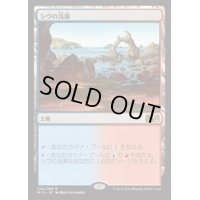 [EX]シヴの浅瀬/Shivan Reef《日本語》【M15】
