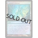 [EX]セファリッドの円形競技場/Cephalid Coliseum《英語》【From the Vault: Realms】