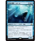 [EX+]原初の潮流、ネザール/Nezahal, Primal Tide《日本語》【RIX】