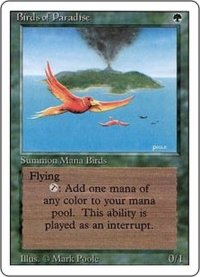 [EX]極楽鳥/Birds of Paradise《英語》【3ED】