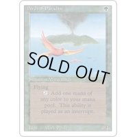 [HPLD]極楽鳥/Birds of Paradise《英語》【3ED】