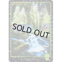 (FOIL)(1656)森/Forest《英語》【SLD】