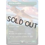 (1675)African Swallow　//　極楽鳥/Birds of Paradise《英語》【SLD】