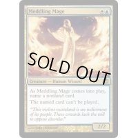 翻弄する魔道士/Meddling Mage《英語》【ARB】
