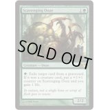 漁る軟泥/Scavenging Ooze《英語》【Media Promos(M14)】