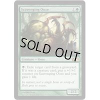 [EX+]漁る軟泥/Scavenging Ooze《英語》【Media Promos(M14)】