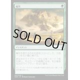 輪作/Crop Rotation《日本語》【Duel Decks: Nissa vs. Ob Nixilis】