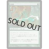 [EX+]怨恨/Rancor《日本語》【Planechase 2012】