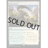 [EX+]活発な野生林/Stirring Wildwood《日本語》【Duel Decks: Zendikar vs. Eldrazi】