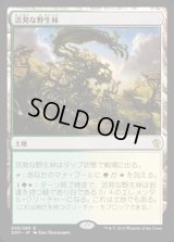 [EX+]活発な野生林/Stirring Wildwood《日本語》【Duel Decks: Zendikar vs. Eldrazi】