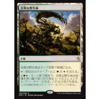 [EX+]活発な野生林/Stirring Wildwood《日本語》【Duel Decks: Zendikar vs. Eldrazi】