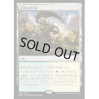 [EX+]活発な野生林/Stirring Wildwood《日本語》【Duel Decks: Zendikar vs. Eldrazi】
