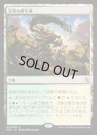 [EX+]活発な野生林/Stirring Wildwood《日本語》【Duel Decks: Zendikar vs. Eldrazi】