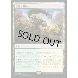 画像1: [EX+]活発な野生林/Stirring Wildwood《日本語》【Duel Decks: Zendikar vs. Eldrazi】