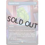 [EX+](FOIL)(1768)入念な研究/Careful Study《英語》【SLD】