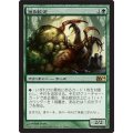 [EX+]漁る軟泥/Scavenging Ooze《日本語》【Media Promos(M14)】