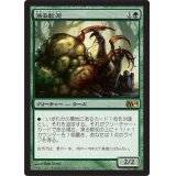 [EX+]漁る軟泥/Scavenging Ooze《日本語》【Media Promos(M14)】