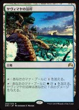 [EX+]ヤヴィマヤの沿岸/Yavimaya Coast《日本語》【ORI】