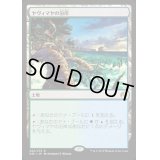 ヤヴィマヤの沿岸/Yavimaya Coast《日本語》【ORI】