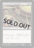 [HPLD]ファイレクシアの闘技場/Phyrexian Arena《日本語》【Duel Decks: Phyrexia vs. the Coalition】