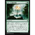[EX+]カルニの心臓の探検/Khalni Heart Expedition《日本語》【Duel Decks: Zendikar vs. Eldrazi】