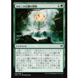 [EX+]カルニの心臓の探検/Khalni Heart Expedition《日本語》【Duel Decks: Zendikar vs. Eldrazi】