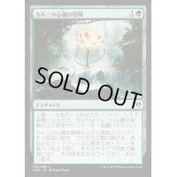 [EX+]カルニの心臓の探検/Khalni Heart Expedition《日本語》【Duel Decks: Zendikar vs. Eldrazi】