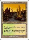 [EX+]低木林地/Brushland《日本語》【7ED】