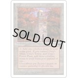 [EX+](Forest)ウルザの塔/Urza's Tower《英語》【CHR】