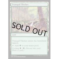 [EX+]平穏な茂み/Tranquil Thicket《英語》【Commander Anthology】