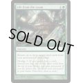 [POOR]壌土からの生命/Life from the Loam《英語》【Duel Decks: Izzet vs. Golgari】