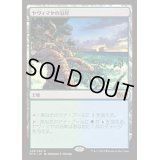 [EX+]ヤヴィマヤの沿岸/Yavimaya Coast《日本語》【M15】