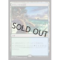 [EX+]ヤヴィマヤの沿岸/Yavimaya Coast《日本語》【M15】