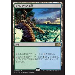 画像1: ヤヴィマヤの沿岸/Yavimaya Coast《日本語》【M15】