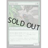 [EX+]再利用の賢者/Reclamation Sage《日本語》【M15】