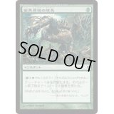 [PLD]変異原性の成長/Mutagenic Growth《日本語》【NPH】
