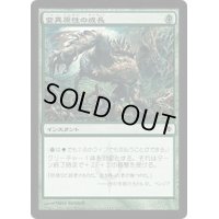 [PLD]変異原性の成長/Mutagenic Growth《日本語》【NPH】