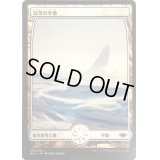 [EX](FOIL)冠雪の平地/Snow-Covered Plains《日本語》【MH1】