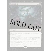 [PLD]集団的蛮行/Collective Brutality《日本語》【EMN】