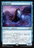 [EX+]霊廟の放浪者/Mausoleum Wanderer《英語》【EMN】
