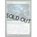 [HPLD]異界の進化/Eldritch Evolution《英語》【EMN】
