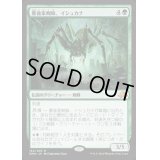 墓後家蜘蛛、イシュカナ/Ishkanah, Grafwidow《日本語》【EMN】