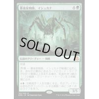 墓後家蜘蛛、イシュカナ/Ishkanah, Grafwidow《日本語》【EMN】