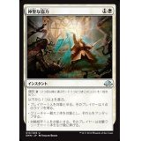 神聖な協力/Blessed Alliance《日本語》【EMN】
