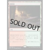 獲物道/Game Trail《日本語》【SOI】