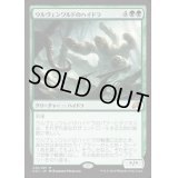 [EX+]ウルヴェンワルドのハイドラ/Ulvenwald Hydra《日本語》【SOI】