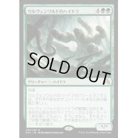 [EX+]ウルヴェンワルドのハイドラ/Ulvenwald Hydra《日本語》【SOI】
