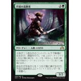 [EX+]不屈の追跡者/Tireless Tracker《英語》【SOI】
