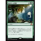 [EX+]過ぎ去った季節/Seasons Past《日本語》【SOI】