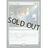 [EX+]過ぎ去った季節/Seasons Past《英語》【SOI】